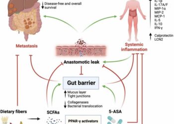 The gut barrier as a gatekeeper in colorectal cancer treatment