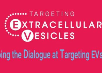 Shaping the Dialogue & Strategic Questions - Targeting EVs 2024