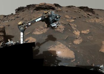 Mars Organics