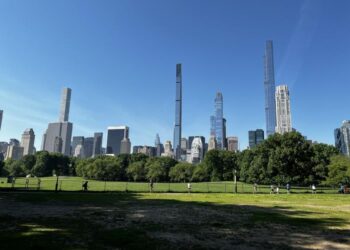 Study reveals urban trees suffer more from heat waves and
