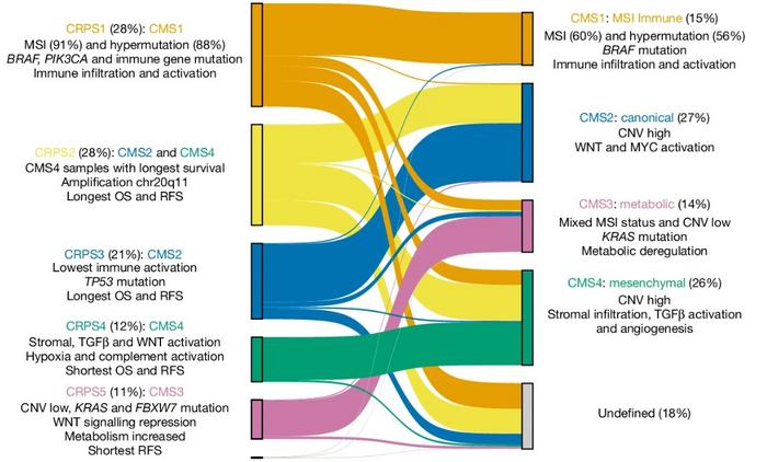 Figure 1 - BGI Genomics multi-omics study on Prognostic genes in Colorectal Cancer