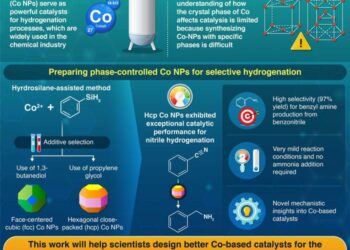 Sustainable catalysts: Crystal phase-controlled cobalt nanoparticles for hydrogenation