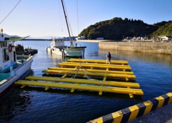 Sustaining oyster farming with sturdier rafts