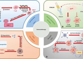 Types of immunotherapeutic treatments.