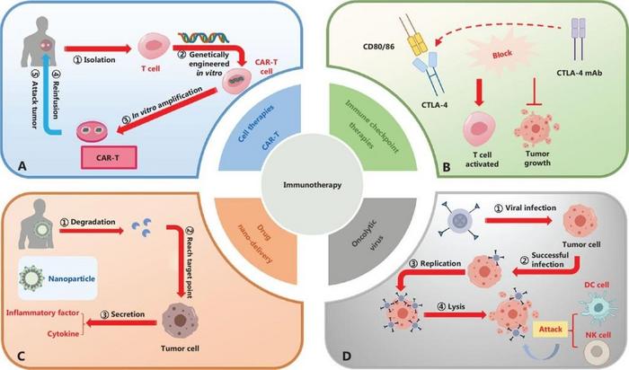 Types of immunotherapeutic treatments.