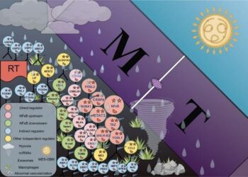 The Battle against glioblastoma: classifying molecular profiles for precision medicine