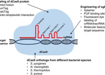 An overview of CRISPR-Cas9-mediated imaging of genomic loci in cells