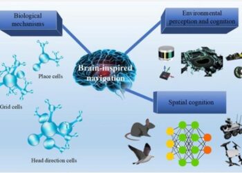 Overview of the brain-inspired technology for mobile robots.