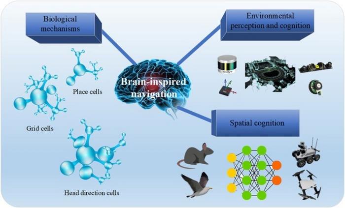 Overview of the brain-inspired technology for mobile robots.