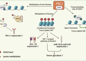 The heightened importance of EZH2 in cancer immunotherapy