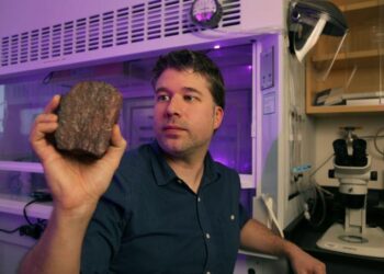 The search for the earliest traces of life on Earth