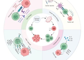 Tumor immunotherapy targeting Tpex.