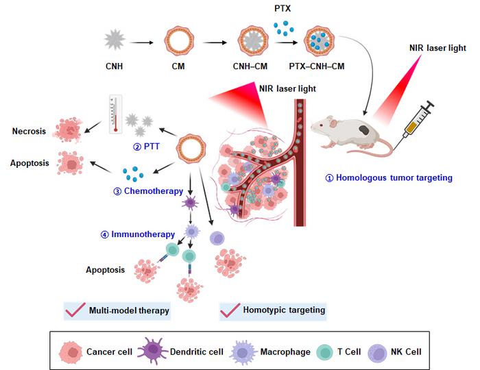 Biomimetic carbon nanohorn complexes for treatment of cancer