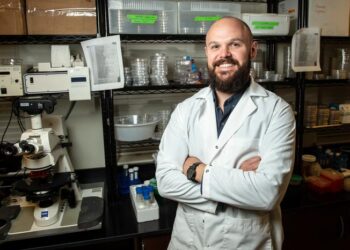 Understanding of early life ecosystems highlighted in new publication