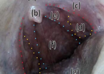 Using low-cost videoscopes to obtain accurate video “oral selfies” as