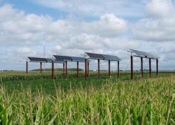 Agrivoltaics in Indiana