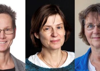 Hange-Mehlig-Holmgren