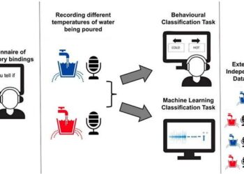 A questionnaire examined people’s beliefs about cross-modal perception, participants' perceptual ability was tested in an online 2AFC task using recordings captured in an ambisonic facility. The recordings were also used to train a machine learning mode