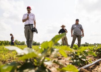 Matt Bertucci speaks at a Blackberry Field Day at the Research Fruit Station in Clarksville, Ark.