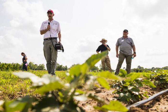 Matt Bertucci speaks at a Blackberry Field Day at the Research Fruit Station in Clarksville, Ark.