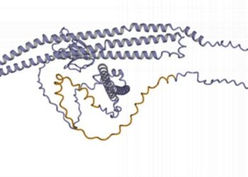 Hundreds of new cancer driver genes predicted by algorithm