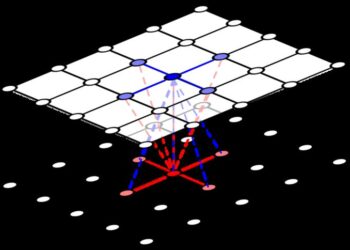 Mutualism two-layer lattice.