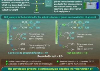 Fine-Tuning Glycerol Electrooxidation: Borate Complexes Drive Selective Alcohol Group Oxidation