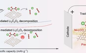 The schematic diagram of a catalytic strategy with highly active single atom Ni and highly conductive graphene matrix