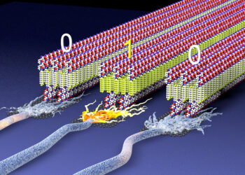 This illustration shows a future vision of assemblies of molecules formed by peptides and miniature molecular pieces present in a plastic material to create “ferroelectric” structures that switch polarity to store digital information or signal neurons. Credit: Mark Seniw/Center for Regenerative Medicine/Northwestern University