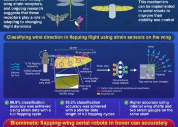 Biomimetic Flexible Flapping Wings Equipped with Strain Sensors Enhance Wind
