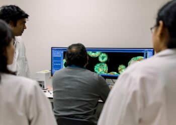 Lele Lab