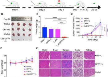 Introducing Ce6-GFFY: A Breakthrough Photosensitizer for Colorectal Cancer Treatment