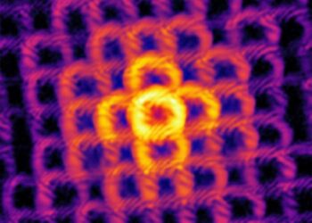 Scatter pattern produced by doughnut-shaped beams of light bouncing off of an object with a regularly repeating structure. Credit Wang, et al., 2023, "Optica"