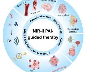 NIR-II photoacoustic imaging technology enhances early diagnosis and treatment of inflammatory and cancerous diseases