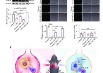 Ozone Therapy: Revitalizing Recovery in Sepsis-Induced Lung Injury
