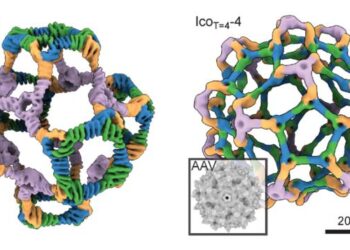 Cryo-EM analysis of designed de novo protein nanocages