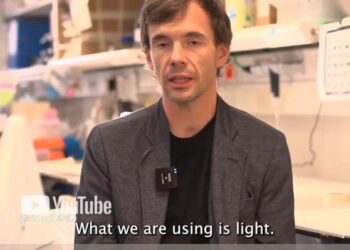 Manuel Valiente (CNIO) and Liset Menendez de la Prida explain NanoBright 'molecular torch'