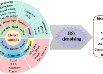 Overview of different types of HSs measuring devices for the diagnosis of diseases. HS, heart sound.