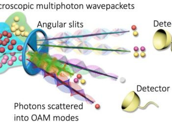 Quantum scattering dynamics of a macroscopic classical system