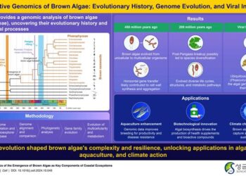 Unraveling Brown Algae's Evolutionary Pathways.