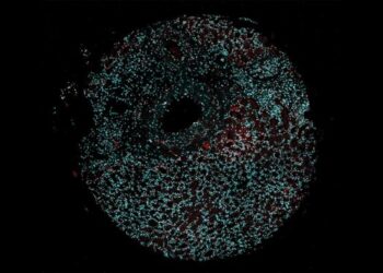 A Glimmer of Hope for Cancer Patients