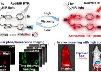 Construction of activatable organic phosphorescent probes and various biological imaging applications