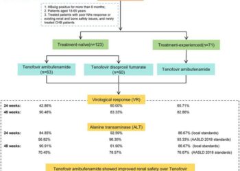 Effectiveness and Safety of Tenofovir Amibufenamide in the Treatment of Chronic Hepatitis B