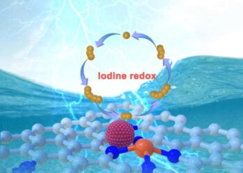 Breakthrough Catalyst Design Paves the Way for Advanced Zinc-Iodine Battery