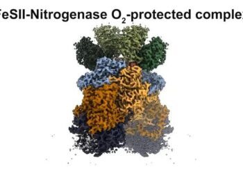 Breakthrough Discovery: Scientists Reveal Crucial Mechanism in Nitrogen Fixation by