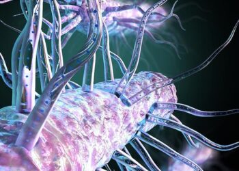 Bacteria nanowires