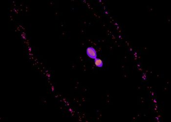 Snapshot of Pluto and Charon during kiss-and-capture.