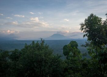 Virunga National Park