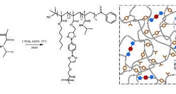 Structure of the dual-cross-linked network