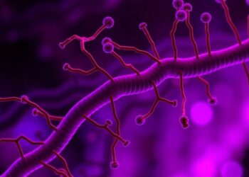 Epigenetic Mechanisms Play a Crucial Role in Ensuring Proper Placental Function